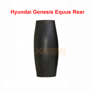 Hyundai-Genesis-Equus-Centennial-rear-rubber-bladder-کمک-فنر-جنسیس-کمک-فنر-سنتنیالکمک-فنر-جنسیس-کمک-فنر-سنتنیال