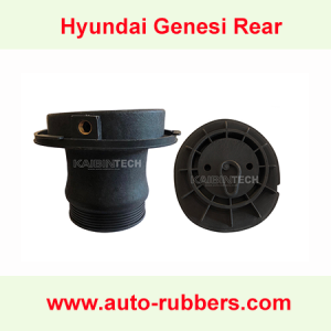 Hyundai-air-shock-absorber-repair-kit-Plastic-head-for-Hyundai-Genesis-shock-absorber